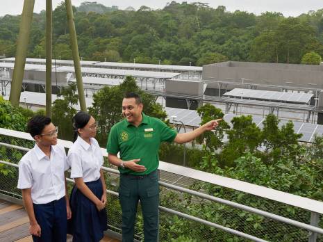 students being shown the solar panels