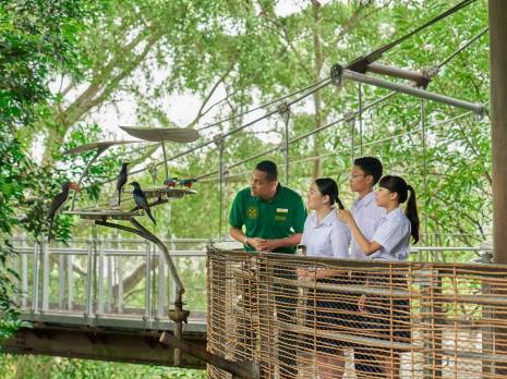 students watching the birds feeding