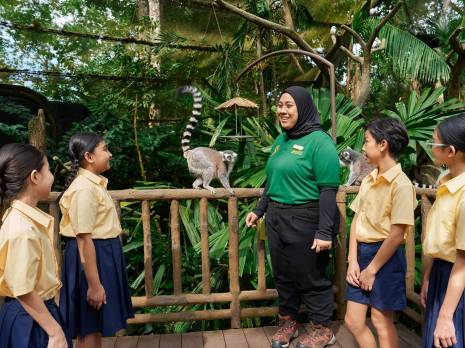 students learning about lemurs