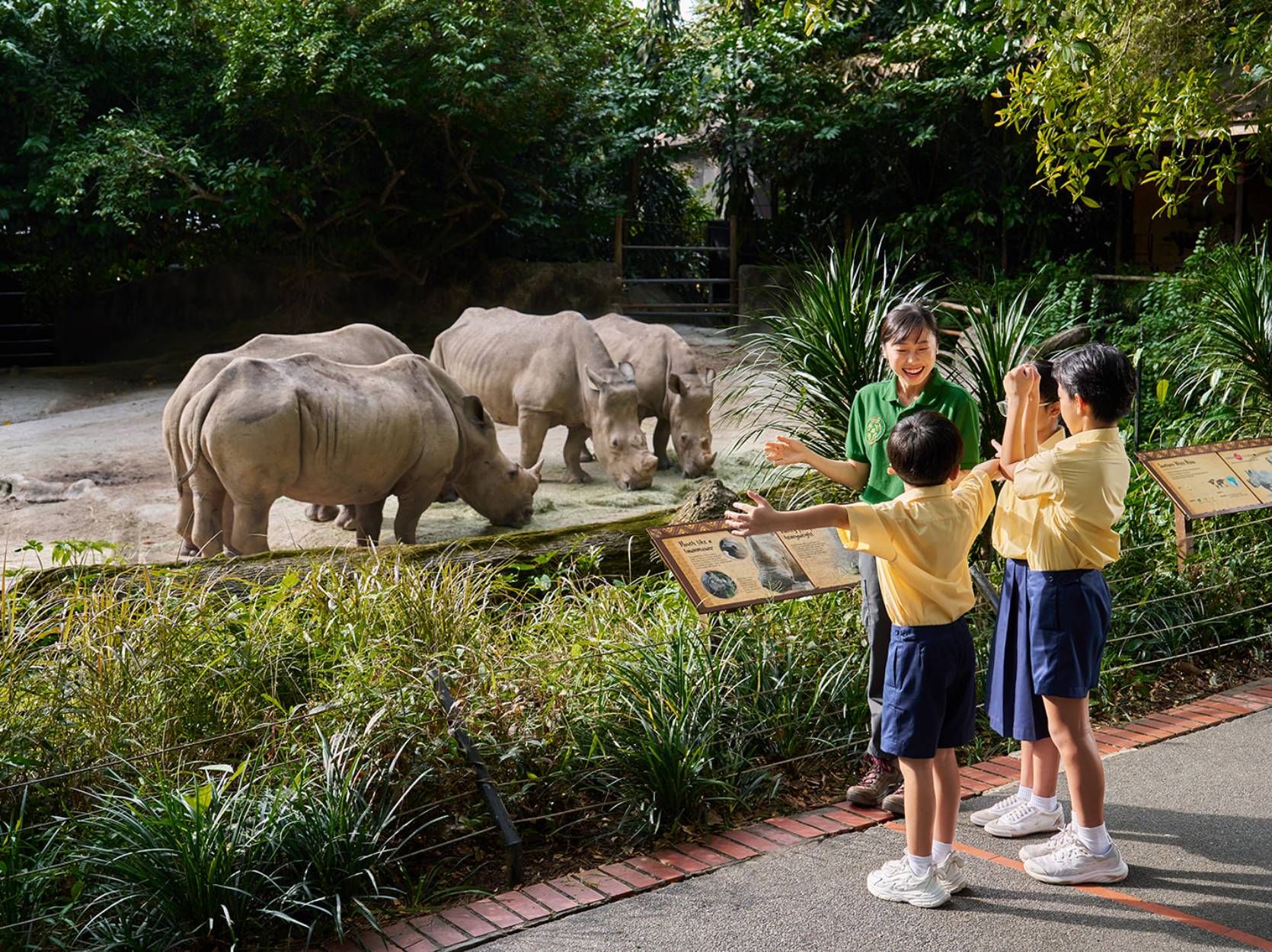 students learning about rhinos