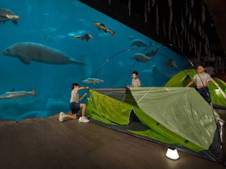 students setting up tents in the Amazon Flooded Forest