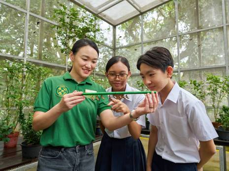 students being shown the chrysallis