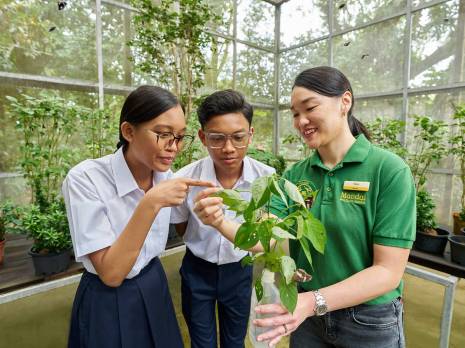 an educator showing the butterflies