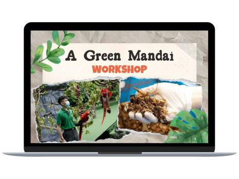 learning guides on laptop