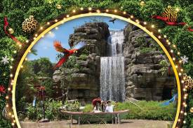 WILD Christmas with Feathered Friends