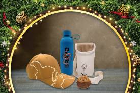 Rainforest Wild ASIA Adventure Pack