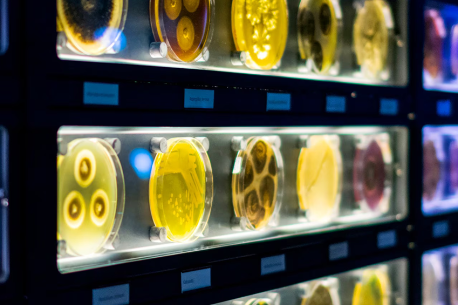 Grand Prize for March 2026:
5D4N to Amsterdam