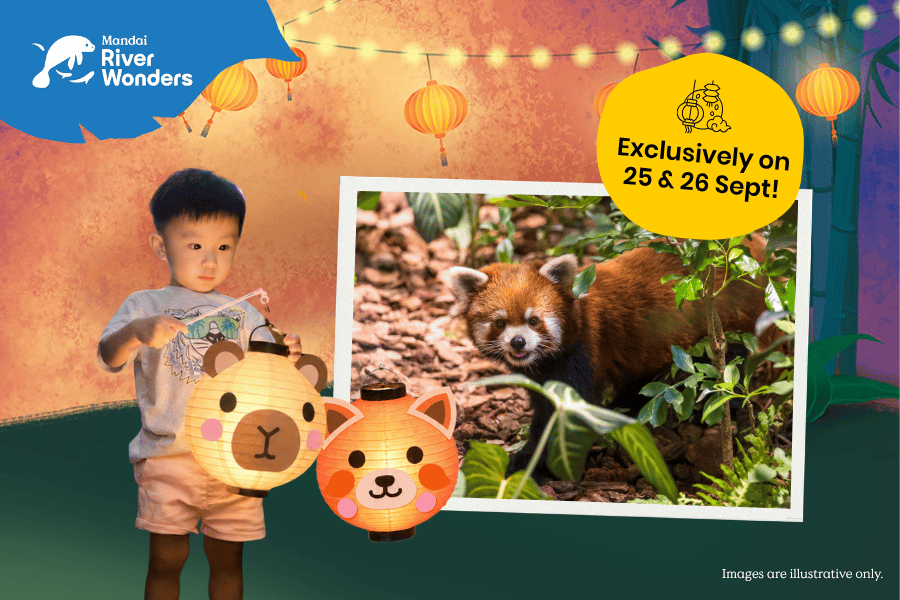 Celebrate a WILD-erful Mid-Autumn at River Wonders!
