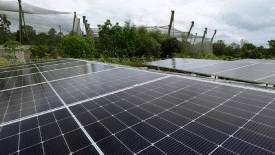 Step Towards Sustainability