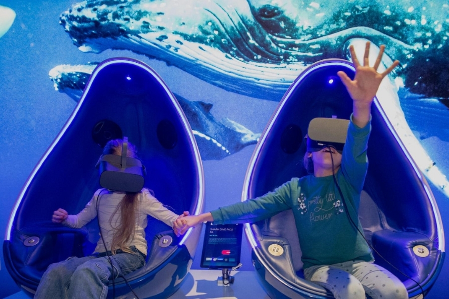 Image for Wild Explorer VR Experience