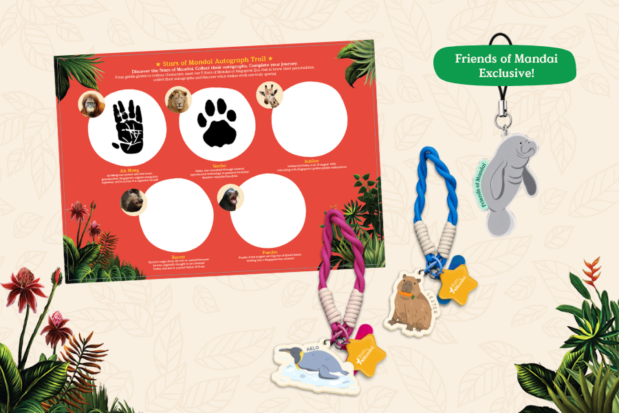 Embark on the Stars of Mandai Autograph Trail