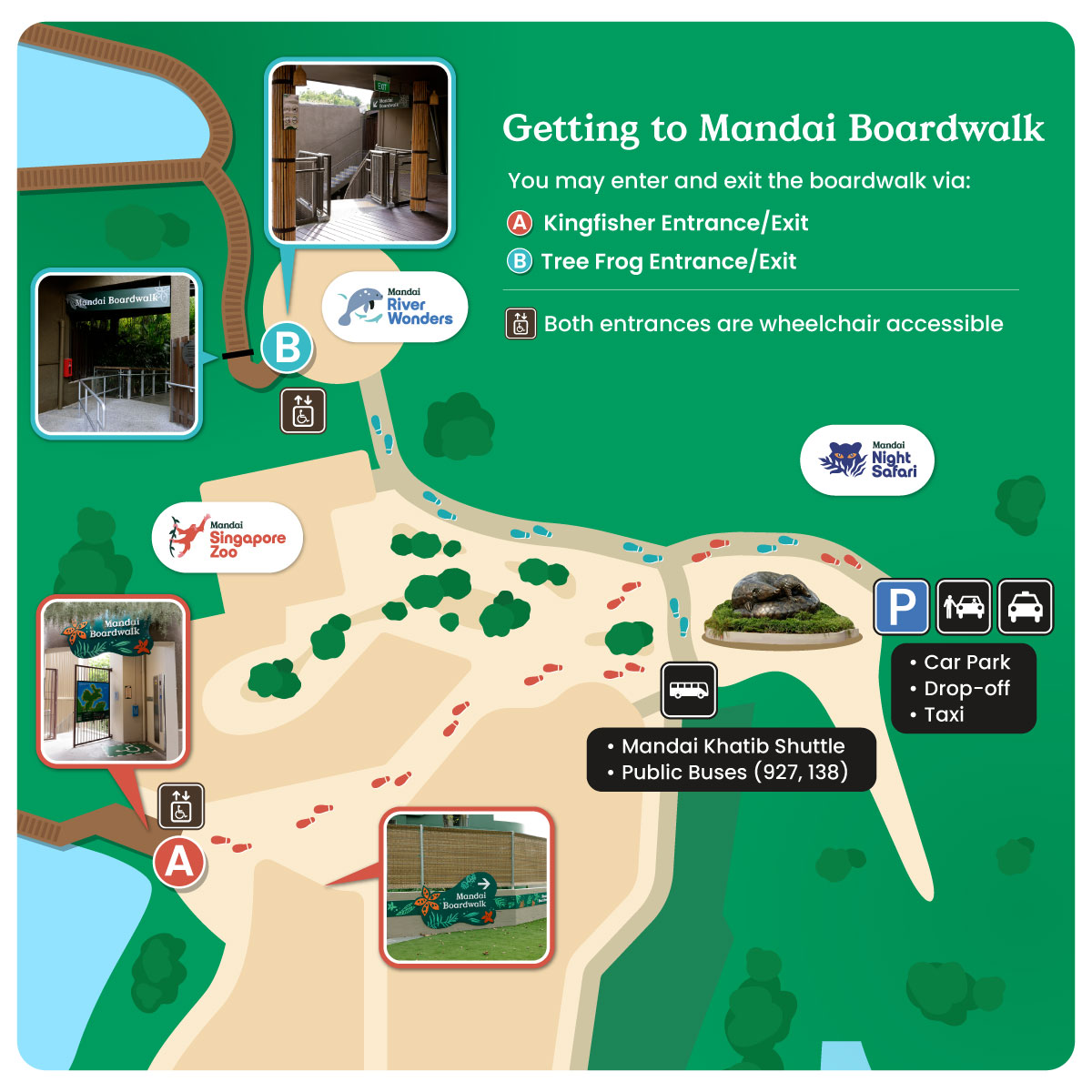 Getting to Mandai Boardwalk