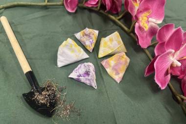 Five Stones Fun Workshop