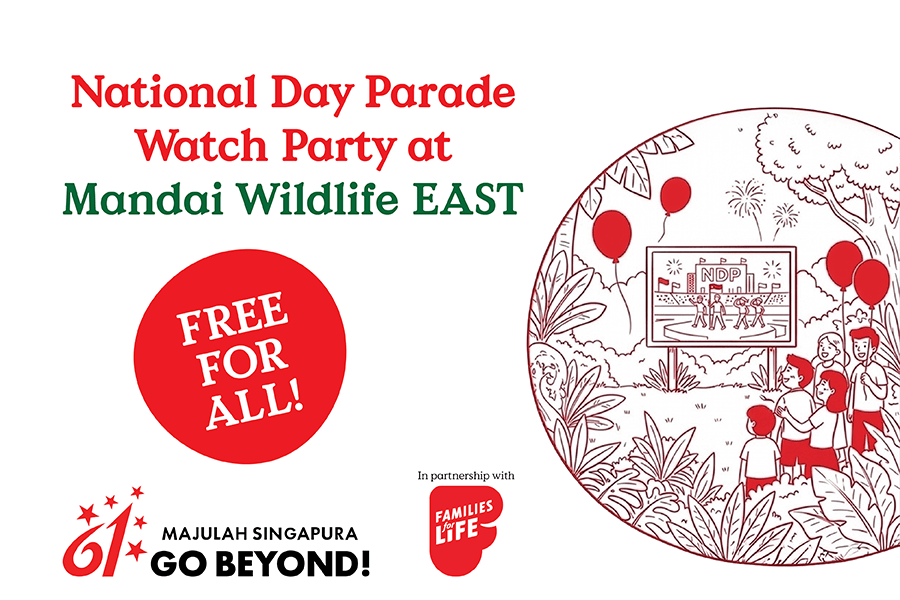 National Day Parade 2026 Watch Party