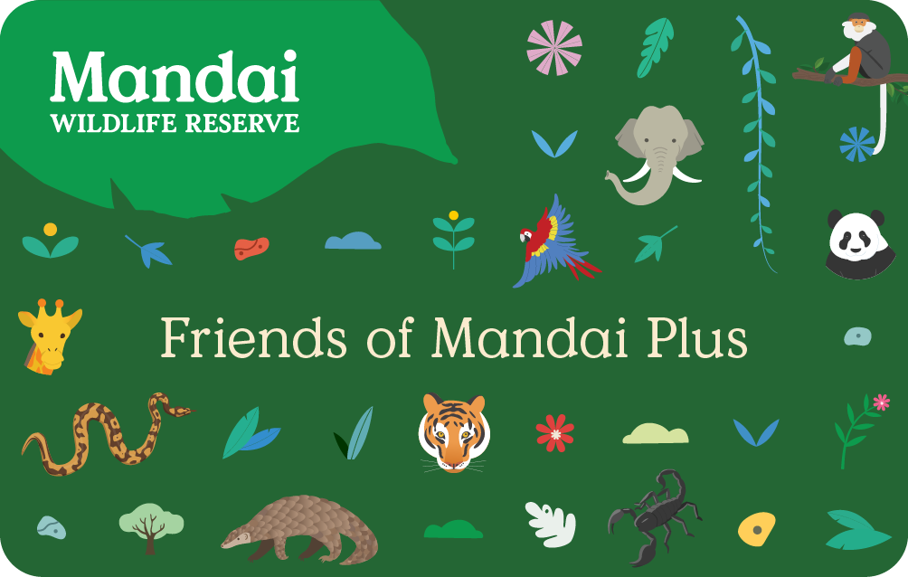 Friends of Mandai Plus card face