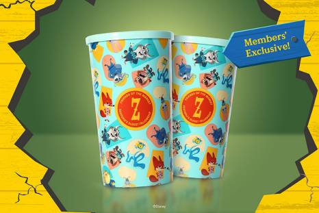 Animal Alphabet Keychain