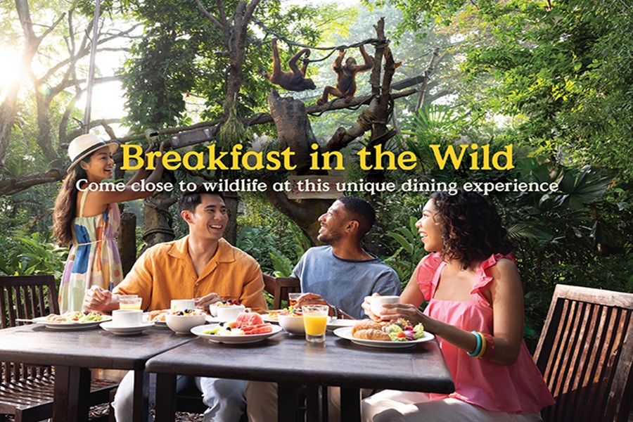 Breakfast in the Wild: Come close to wildlife at this unique dining experience.