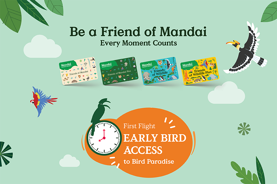 Be a Friend of Mandai. Every Moment Counts. First Flight: EARLY BIRD ACCESS to Bird Paradise.