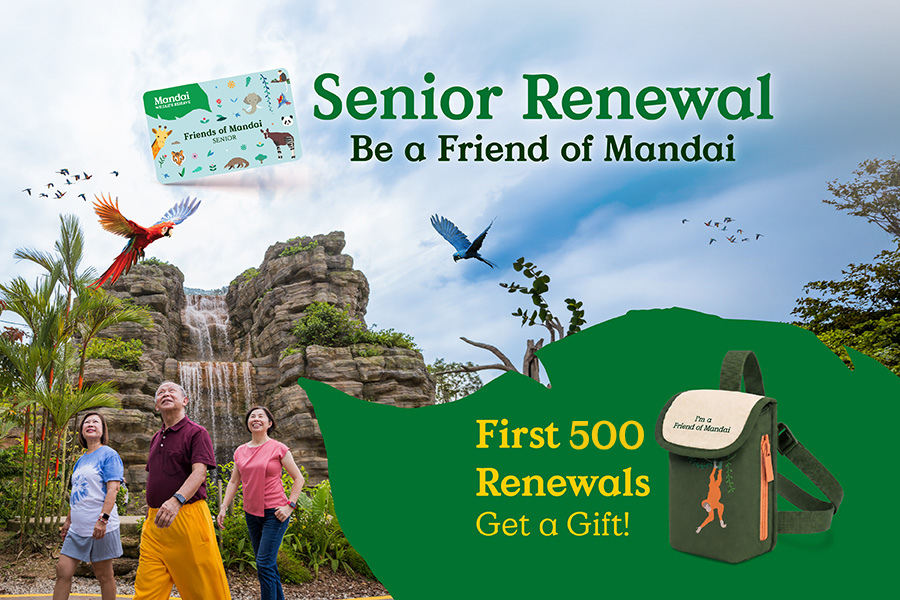 Renew & Be Rewarded!