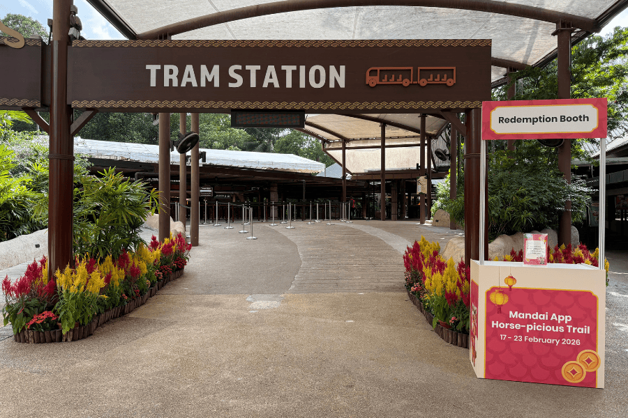 Night Safari Redemption Booth