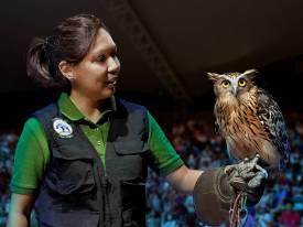 Book Presentation Seats