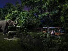 安全乘坐导览车