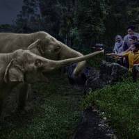 野生动物导览之旅