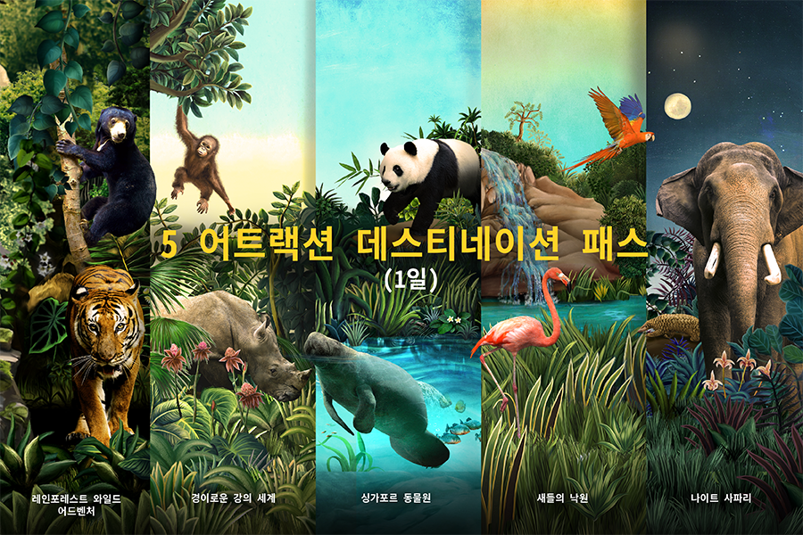 5 어트랙션 데스티네이션 패스  (1일)