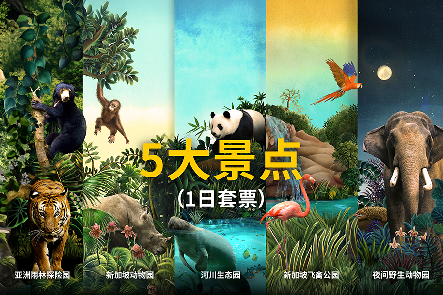 5大景点（1日套票）