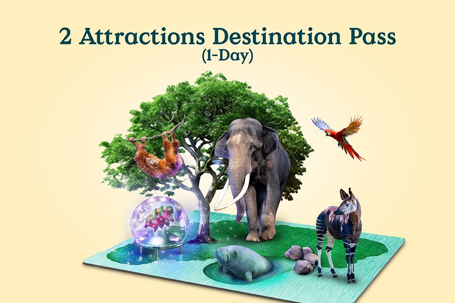 2 Attractions Destination Pass (1-Day) including Night Safari