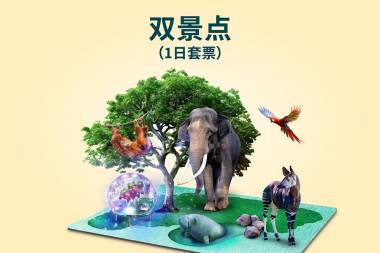 双景点​（1日套票）