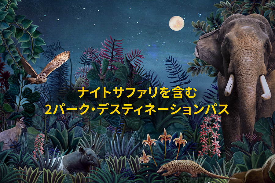 2パーク・デスティネーションパス