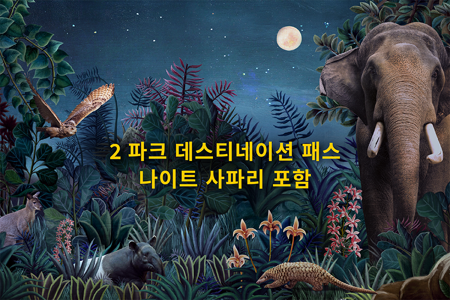 2 파크 데스티네이션 패스