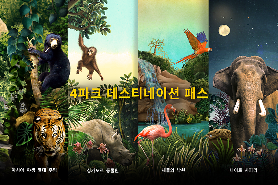 4 파크 데스티네이션 패스