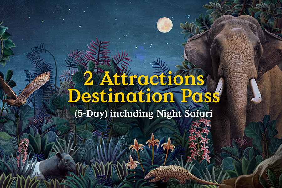 2 Attractions Destination Pass (5-Day) 