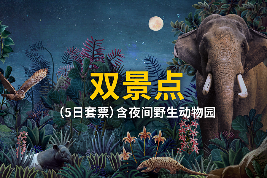 双景点（5日套票）