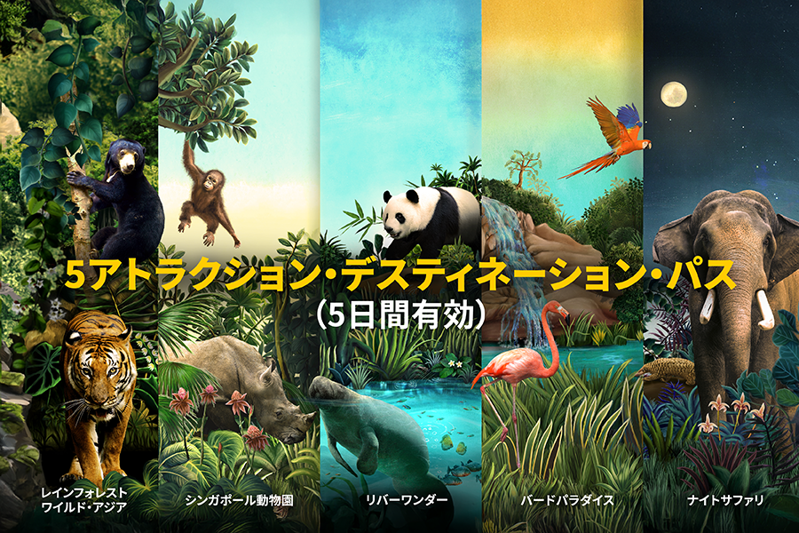 5アトラクション・デスティネーション・パス（5日間有効）