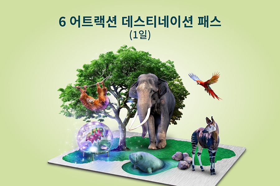 6 어트랙션 데스티네이션 패스 (1일)