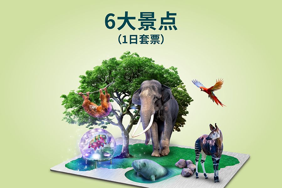 6大景点​（1日套票）