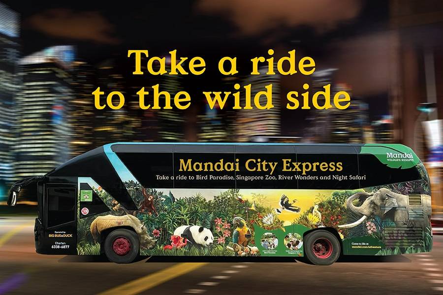 Mandai City Express bus