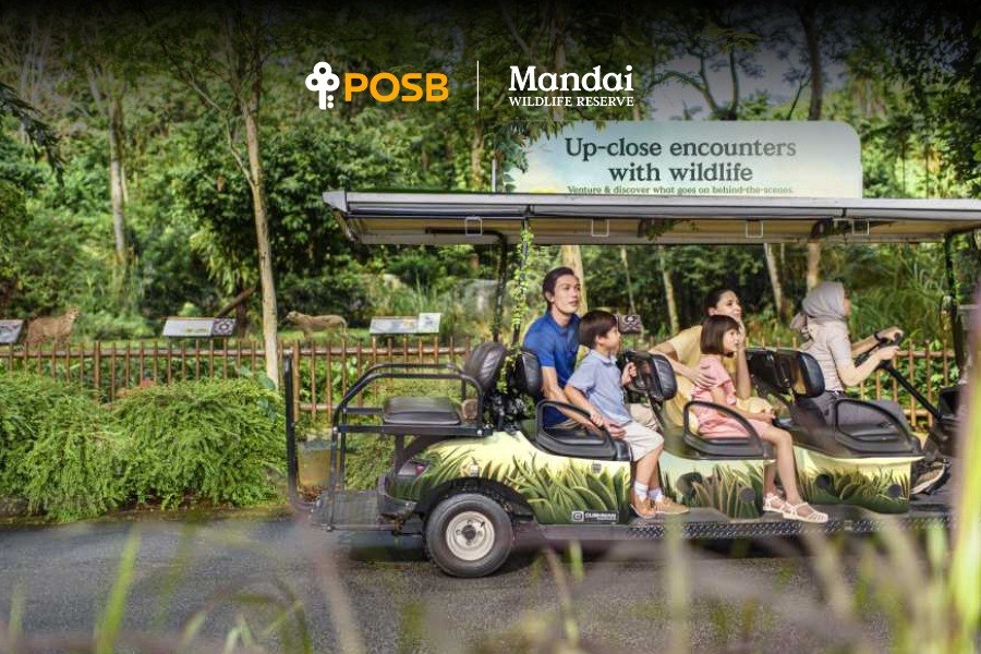 /content/dam/mandai/posb/posb-tours-900x600.jpg