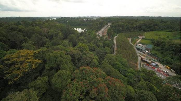 mandai wildlife bridge aerial view