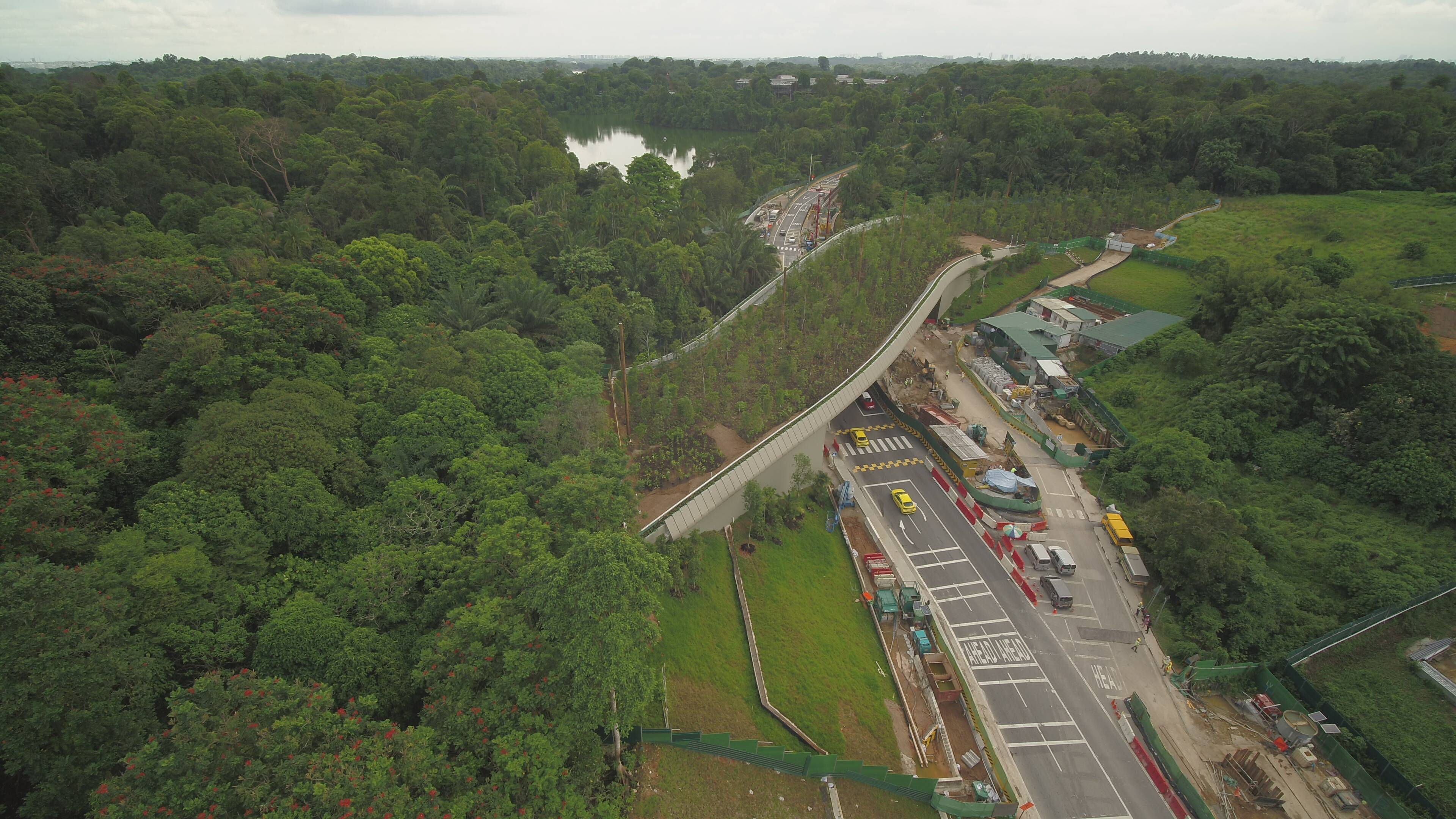 mandai wildlife bridge aerial side view