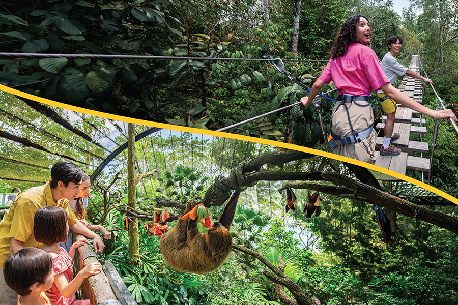 WildPass Exclusive 2-Attraction Pass