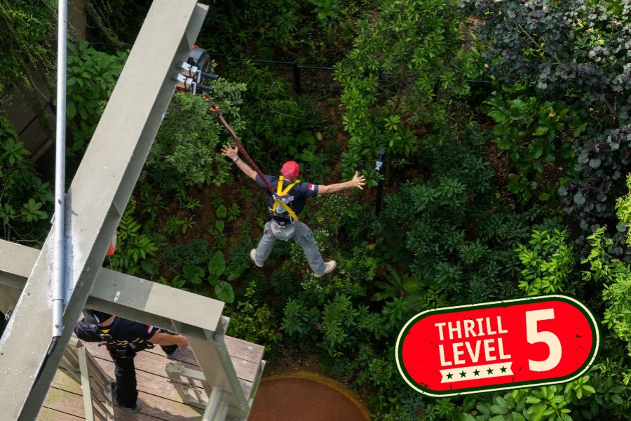 Canopy Jump