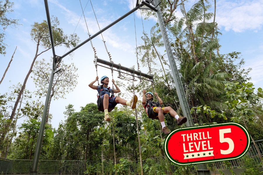 Ravine Swing