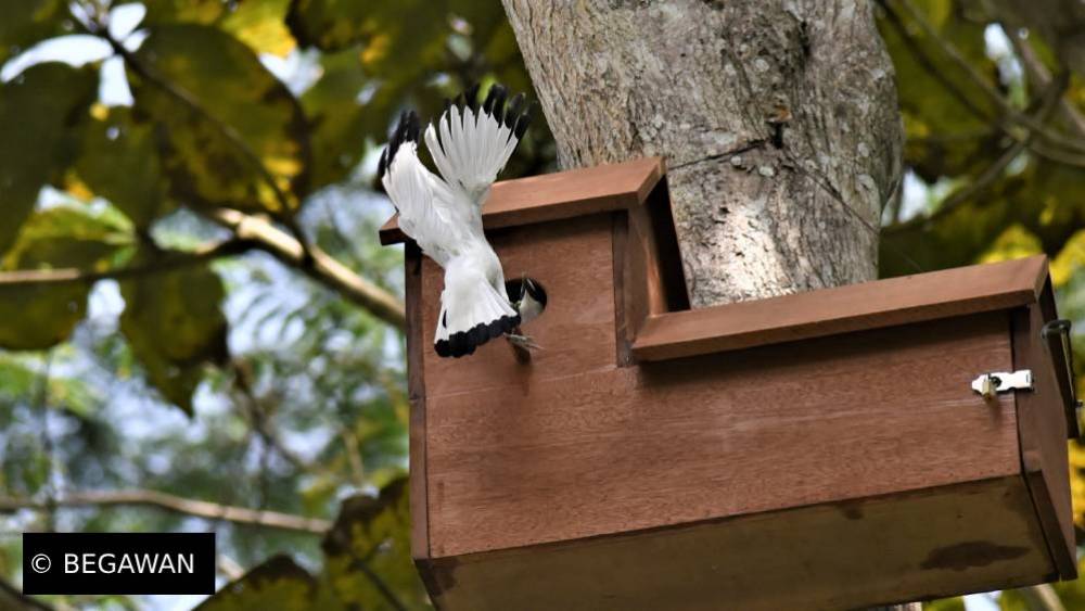 Community-driven Conservation