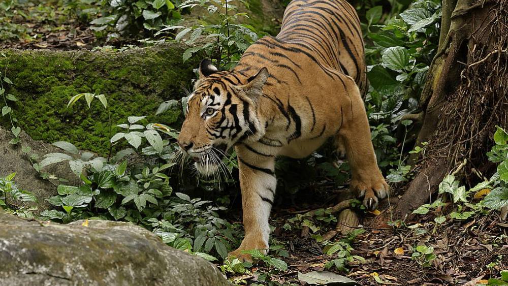 Making A Tangible Impact