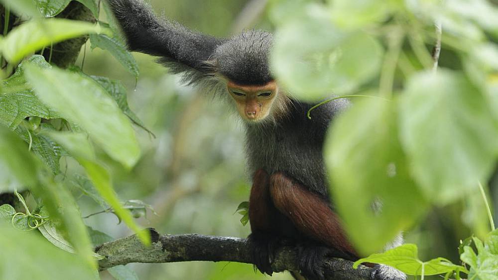 Research-driven Conservation