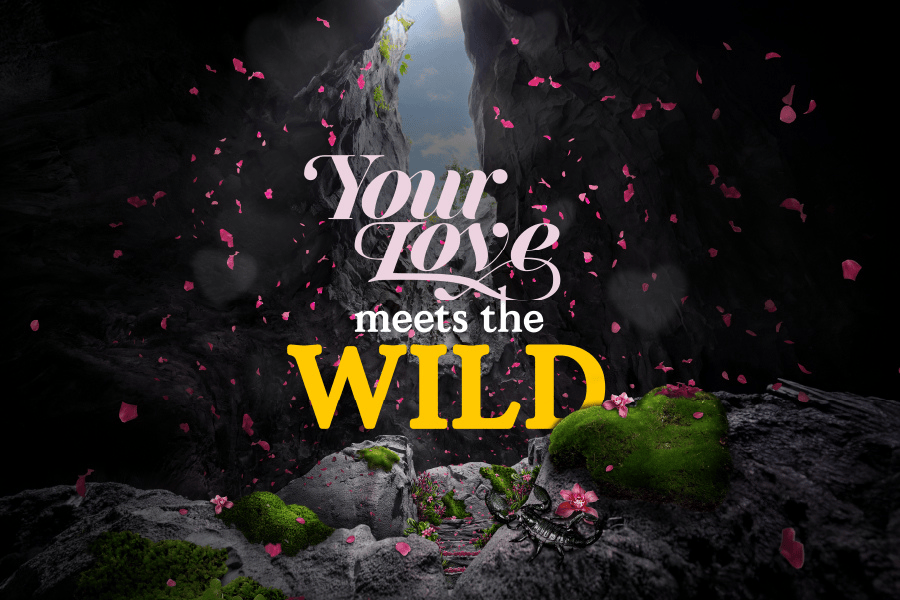 /content/dam/mandai/rainforest-wild-asia/events-and-promotions/your-love-meets-the-wild/your-love-meets-the-wild-900x600.png